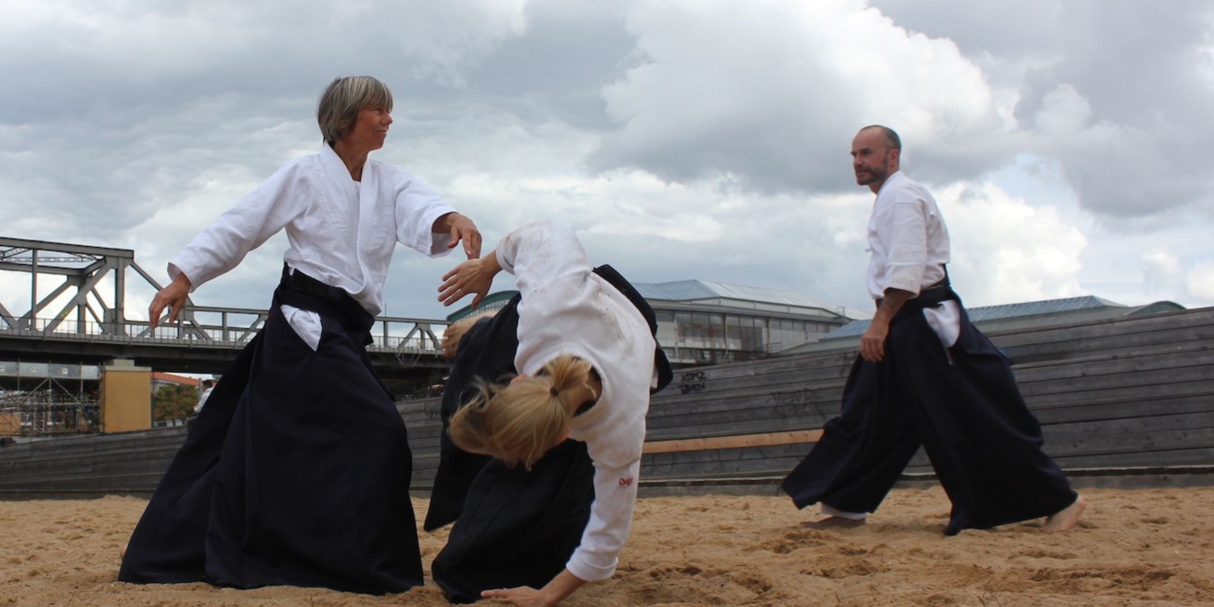 Main image of Aikido/Kenjutsu Dojo am Gleisdreieck