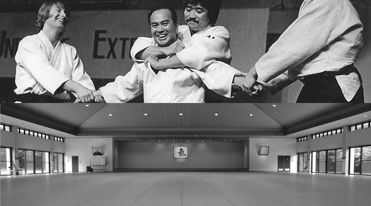 Main image of Aikido Ki Society Stuttgart | Stuttgart Ki Aikido