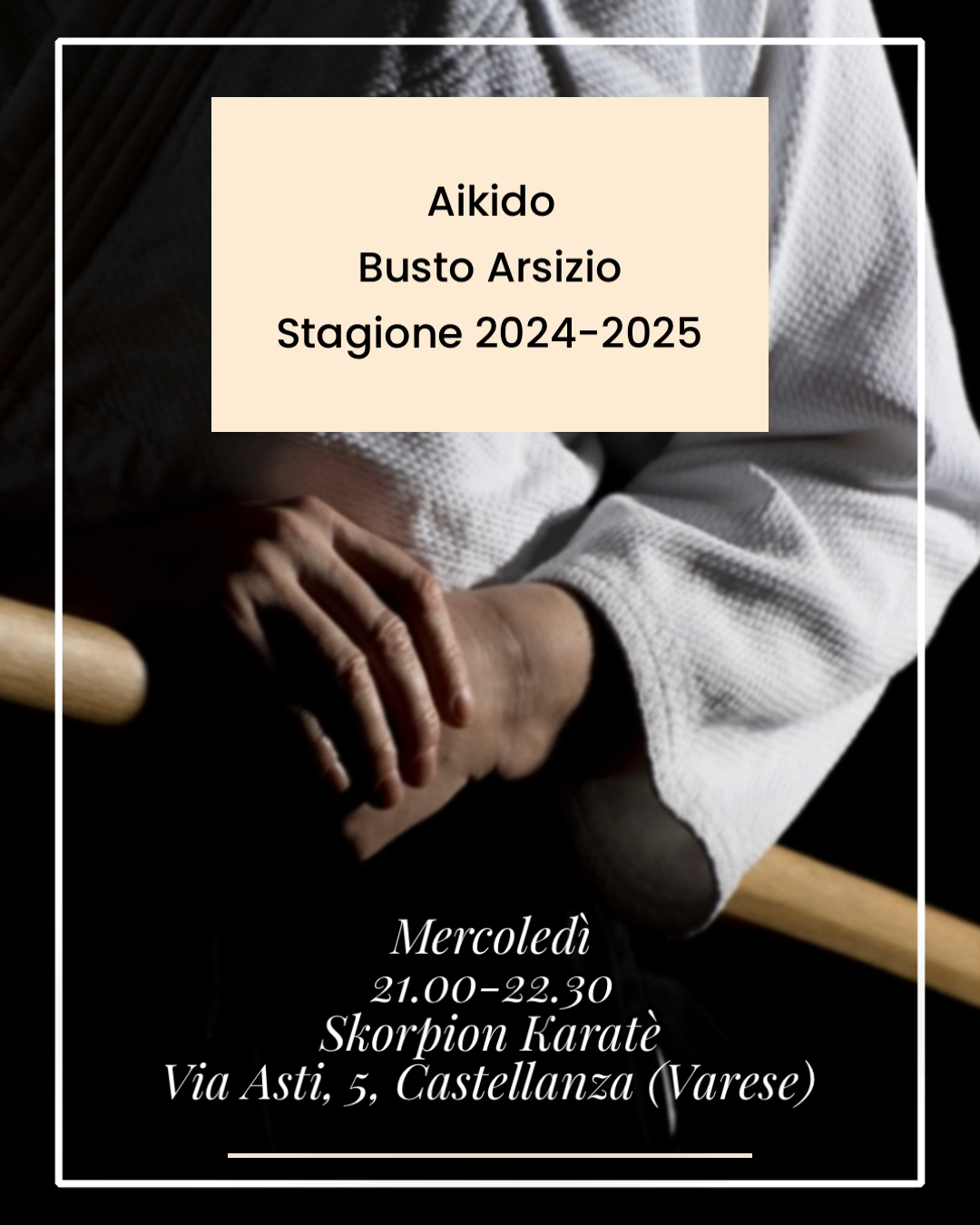 Main image of Aikido Kobayashi Busto Arsizio