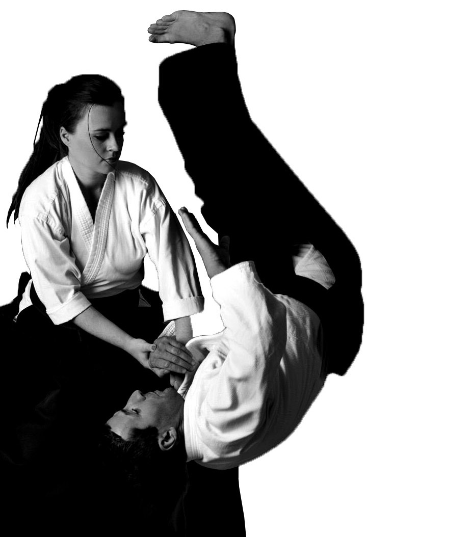 Main image of Aikido Leuven