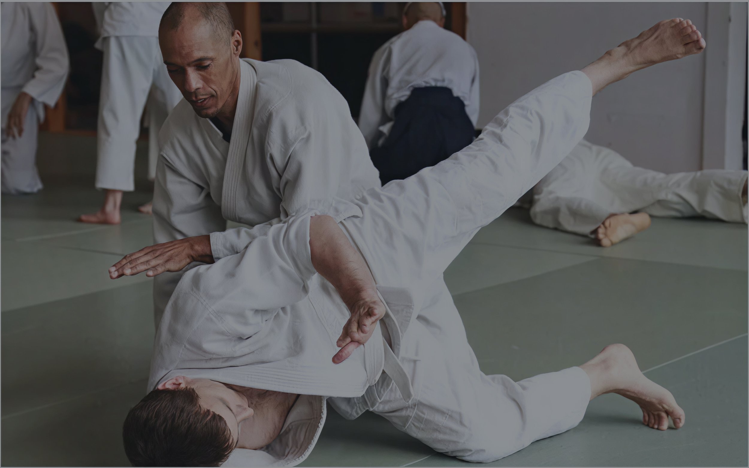Main image of Aikido Multnomah Aikikai