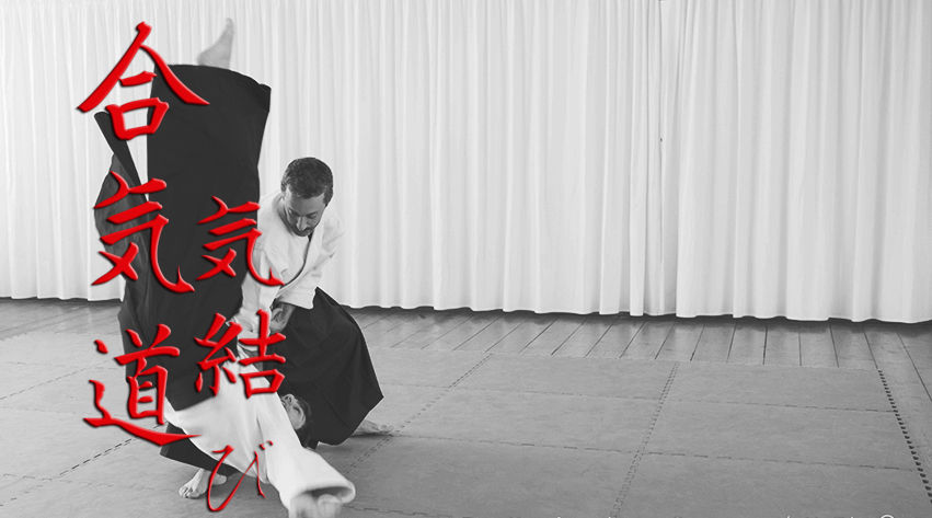 Main image of Aikido Napoli - Daniele Petrella