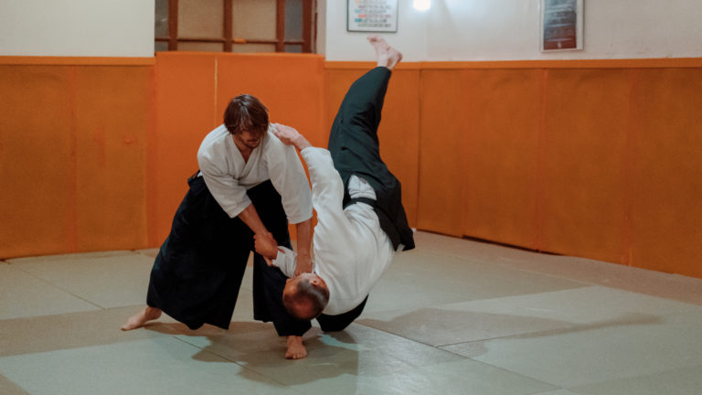 Main image of Aïkido Neuilly sur Marne - So Ryu Kan
