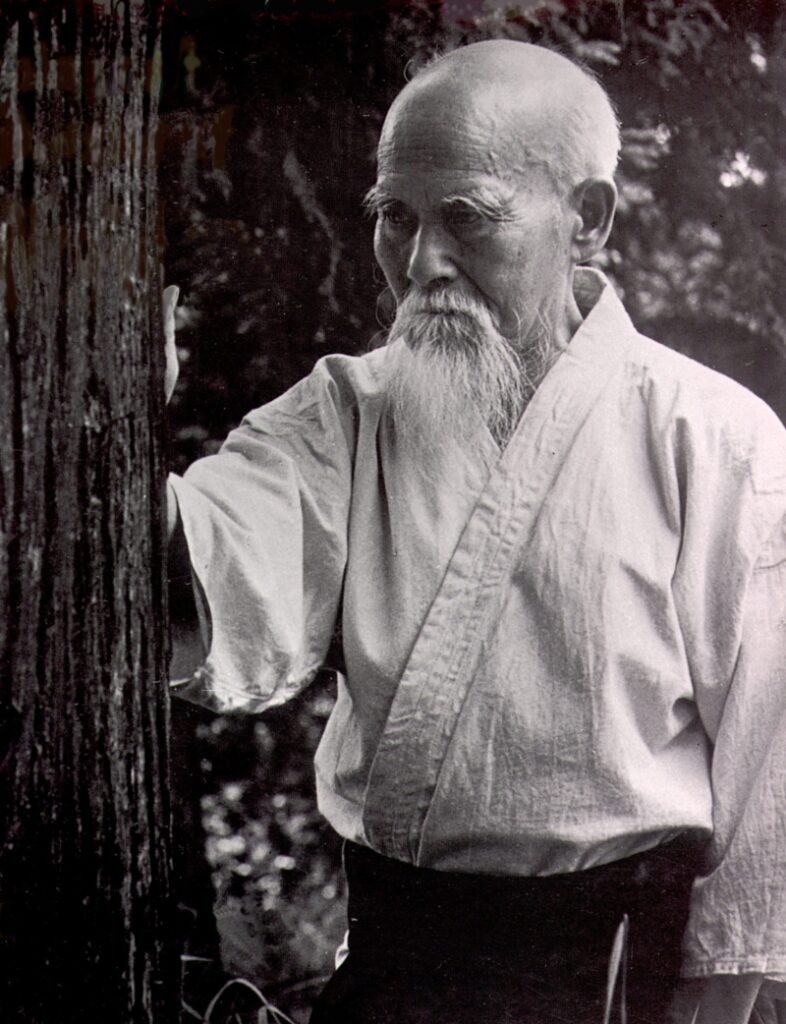 Main image of Aikido North Wind Aikikai