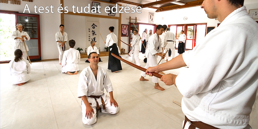 Main image of Aikido Nyergesújfalu