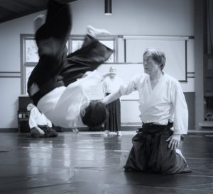 Main image of Aikido of San Jose
