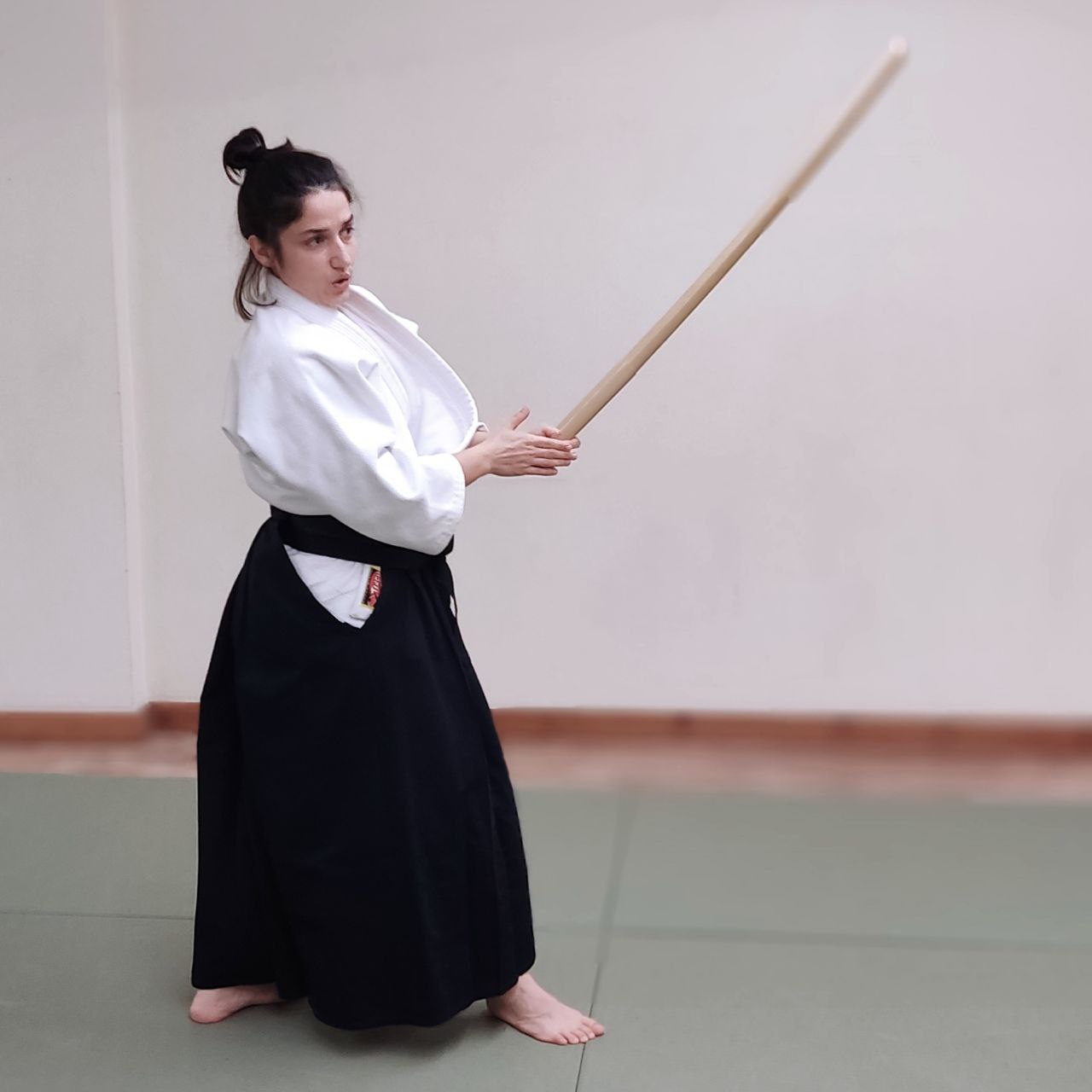 Main image of Aikido Orangerie Dojo
