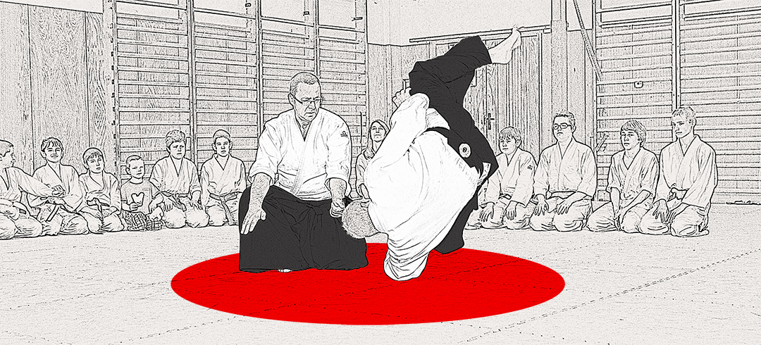 Main image of AIKIDO Pardubice z.s.