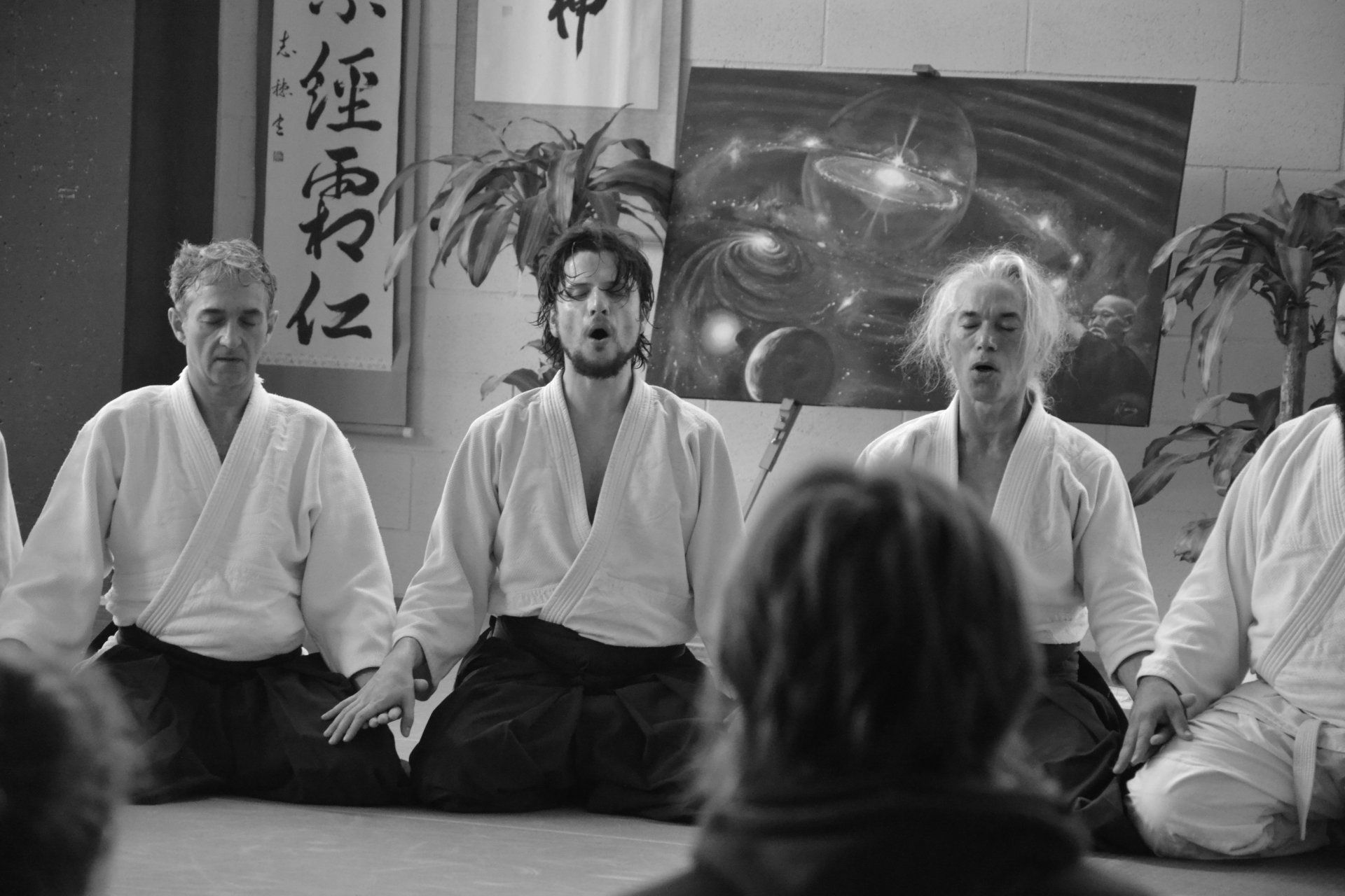 Main image of Aikido Parma