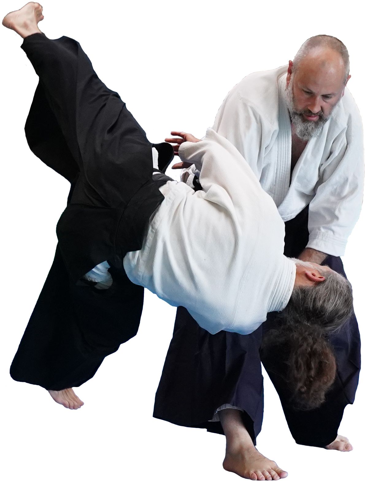 Main image of Aikido Saint Geniez d'Olt