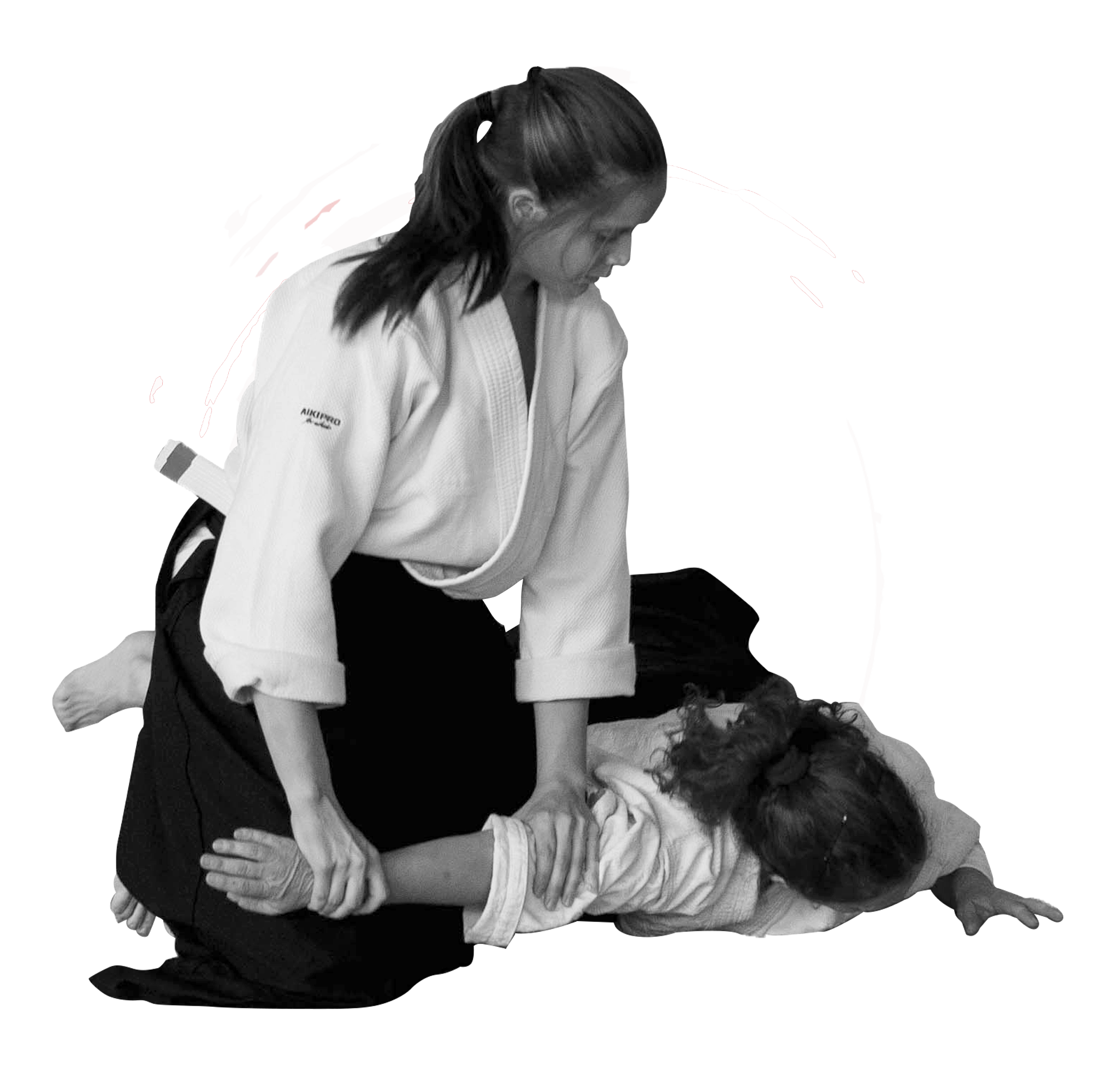 Main image of Aikido Santa Fe - Dojo Seiza