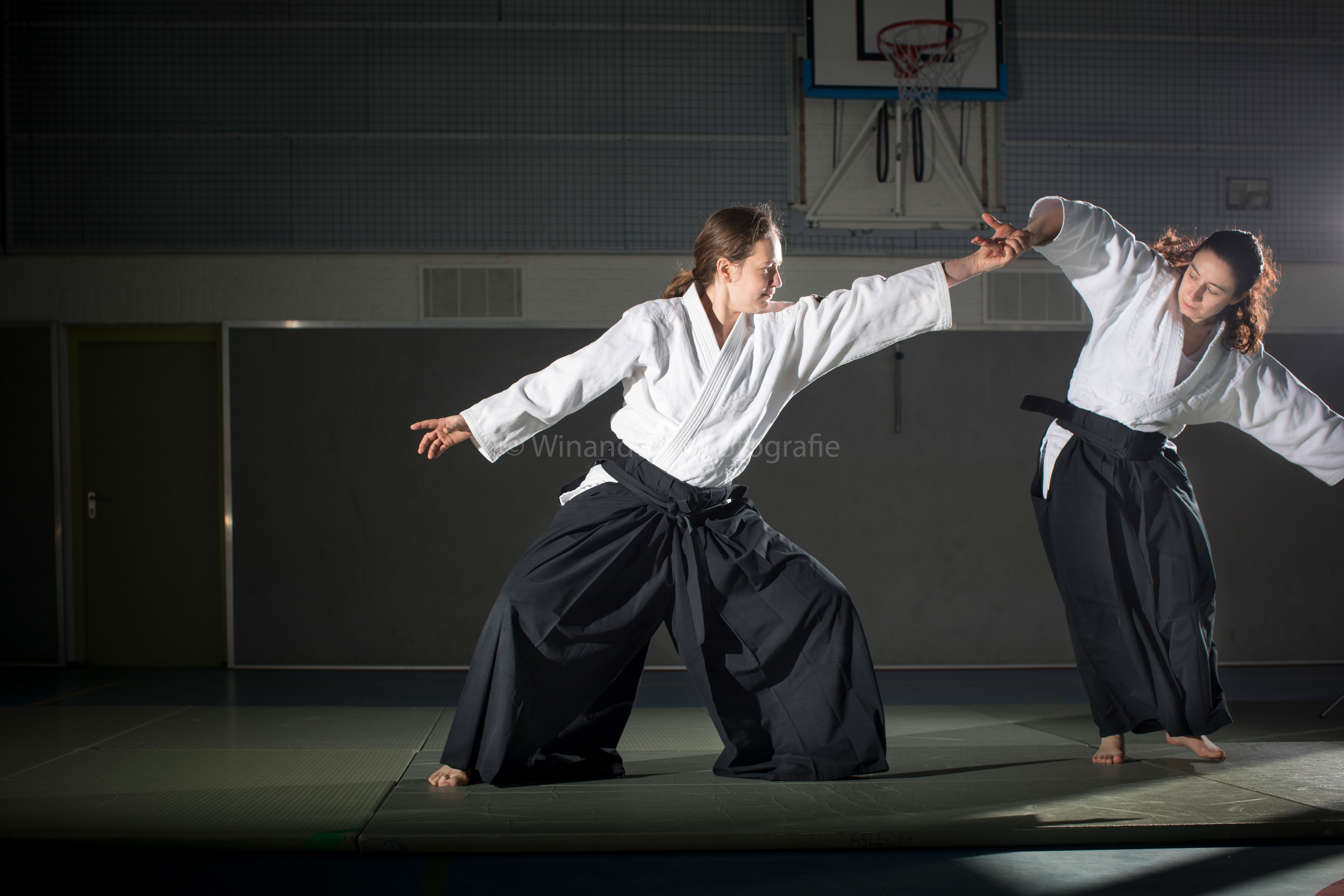 Main image of Aikido School Leiden
