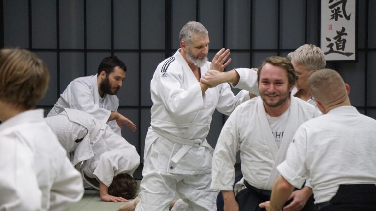 Main image of Aikido Schule Bern