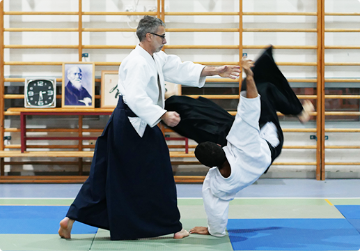 Main image of Aikido Secrets