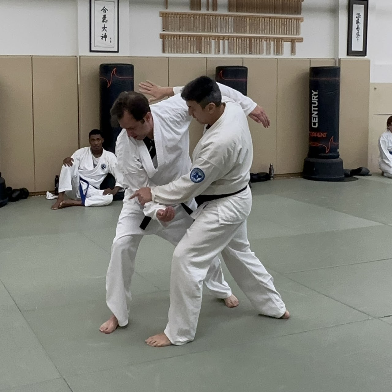 Aikido Self-Defense and Kickboxing