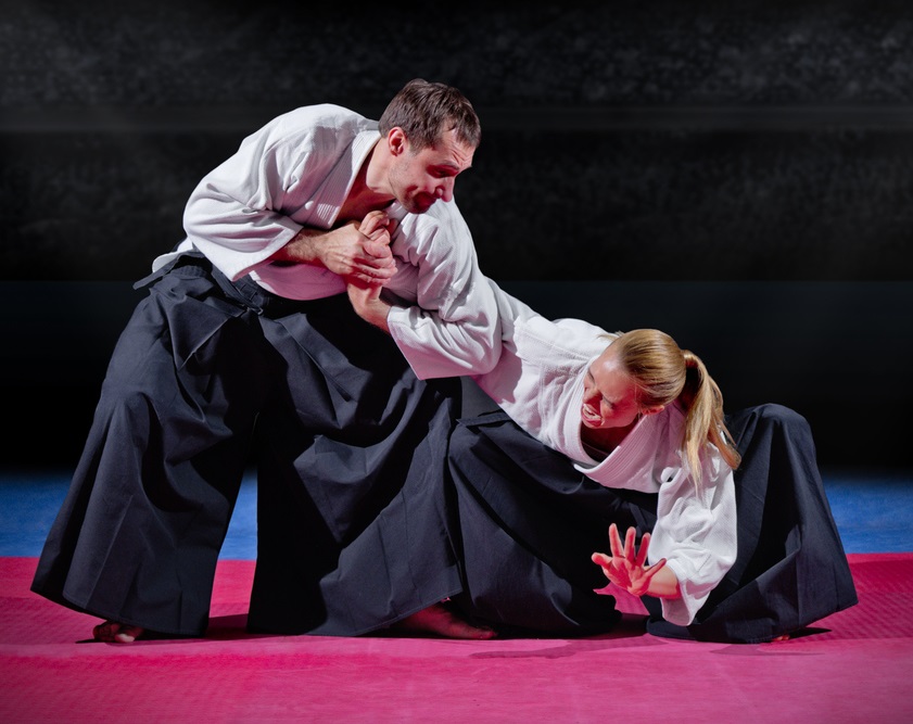 Main image of Aikido Sosnowiec