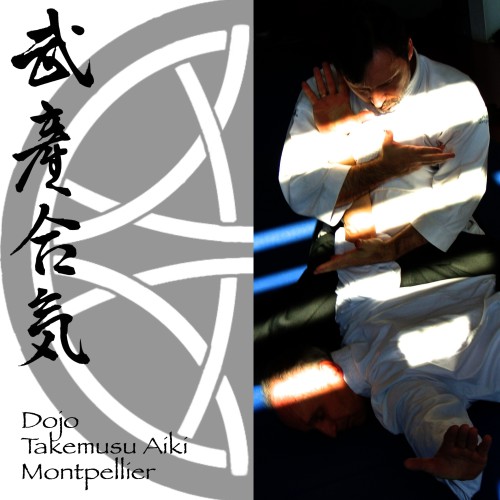 Main image of Aikido Takemusu Aiki