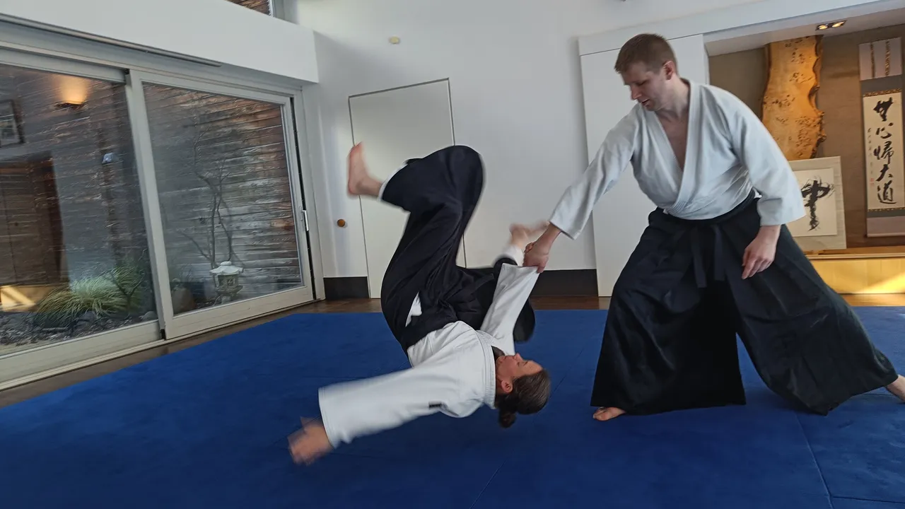Main image of Aikido Unlimited