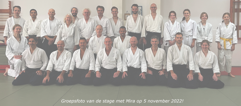 Main image of Aikido Vereniging Domstad