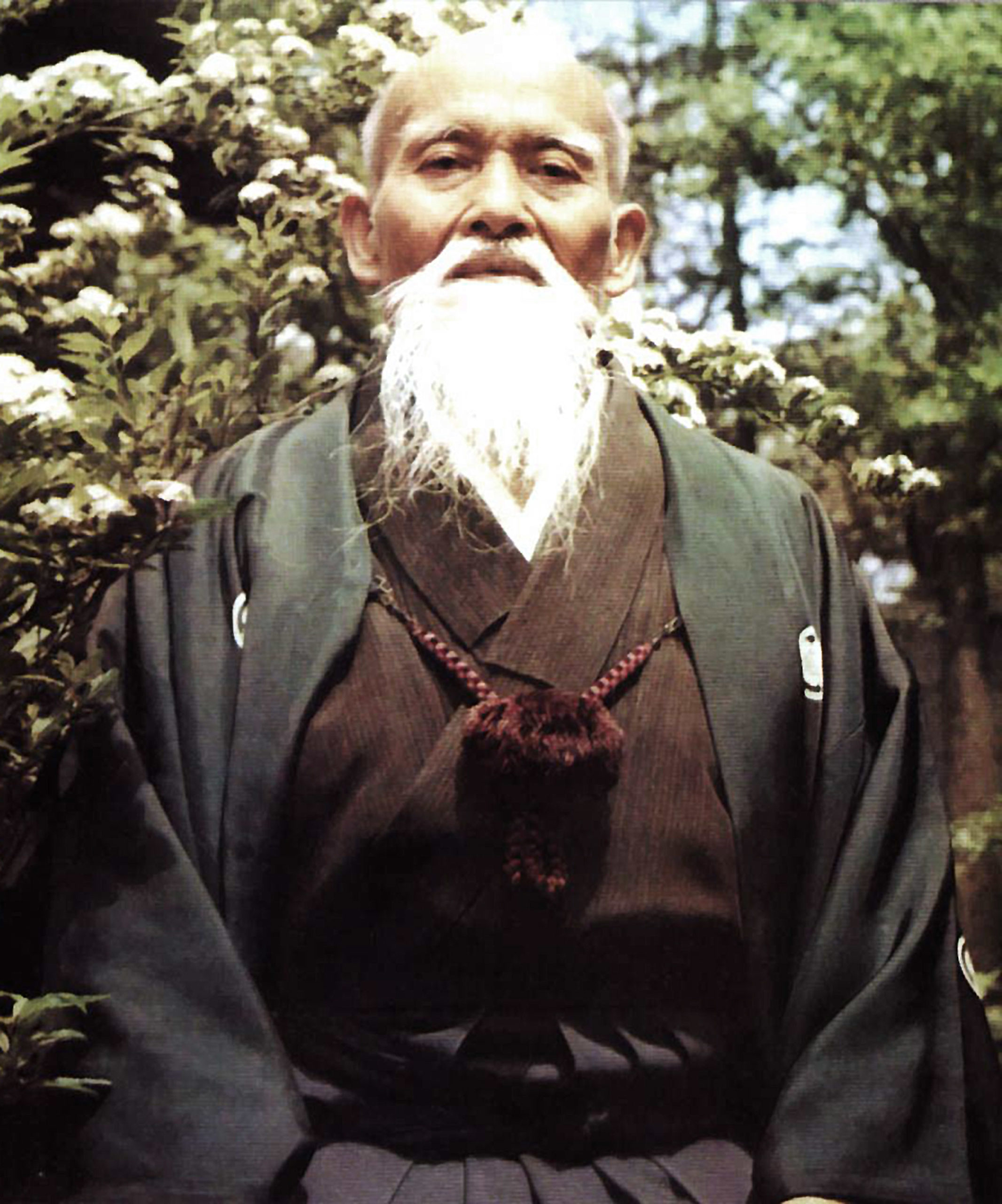 Main image of Aikido w Choszczówce