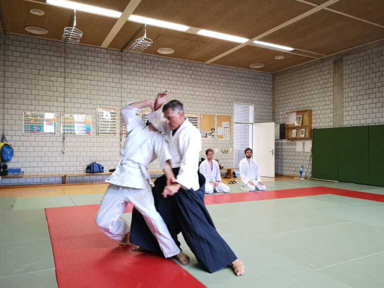 Main image of Aikido Wettingen