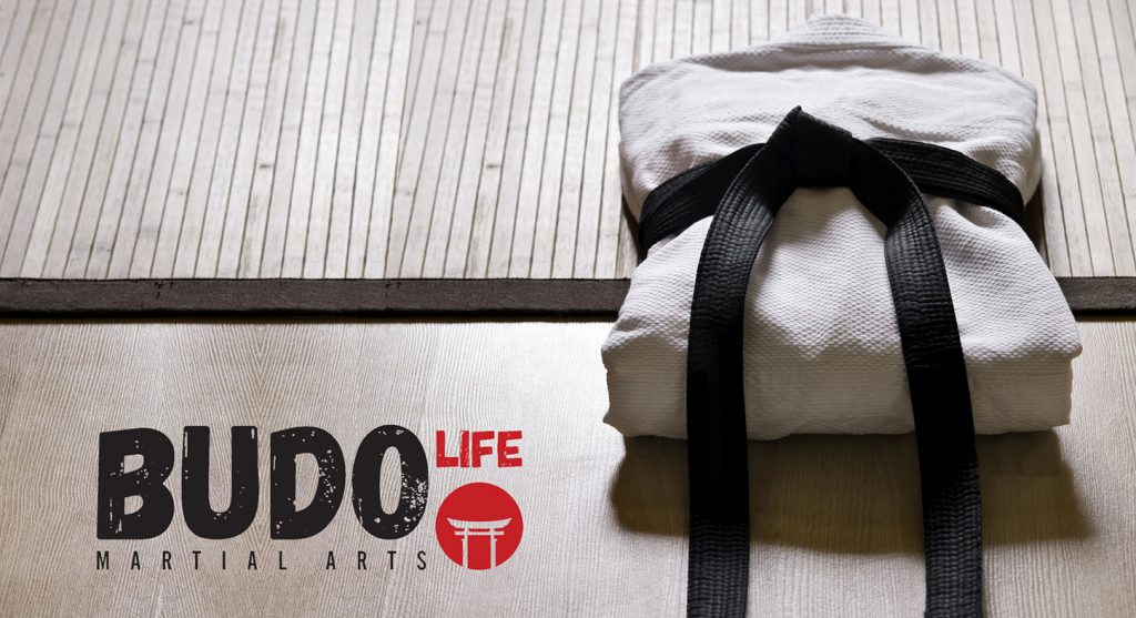 Main image of Aikido World Alliance Greece
