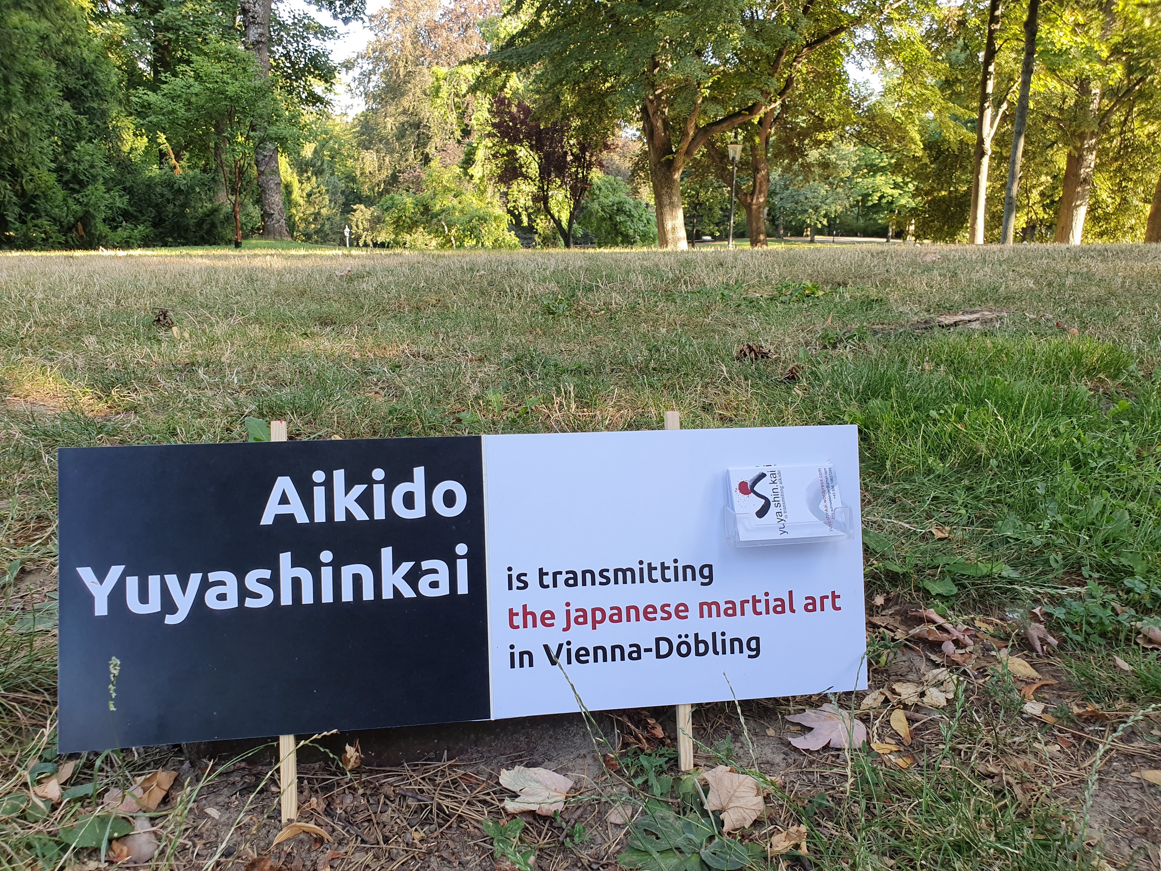 Main image of Aikido Yuyashinkai