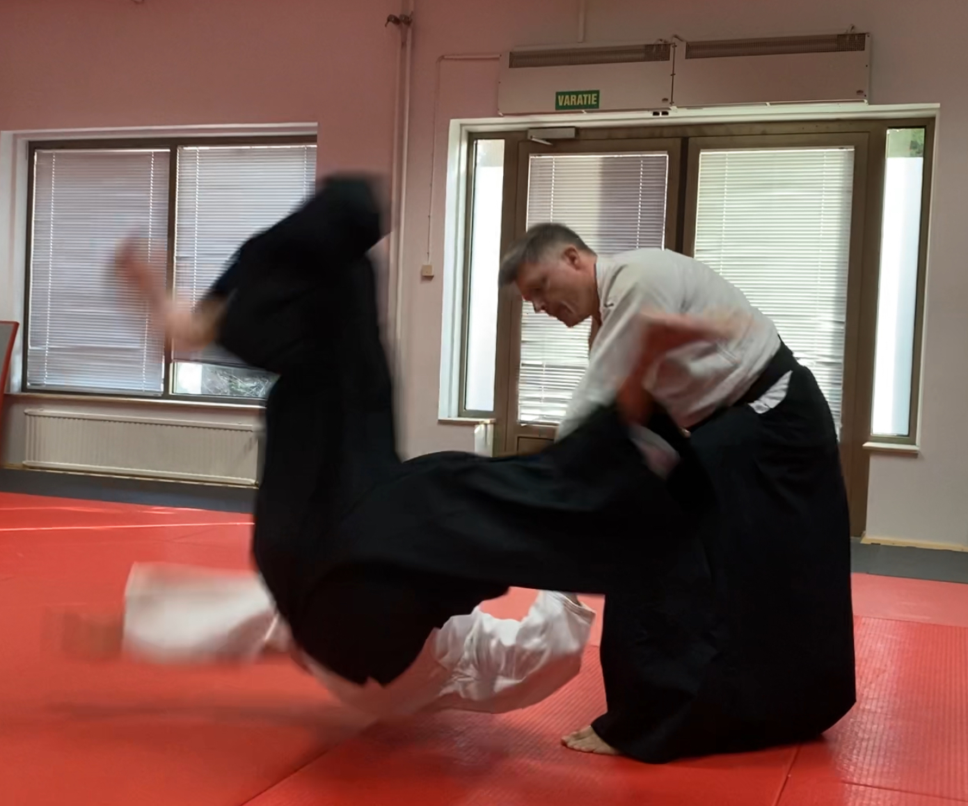 Main image of Aikidoseura Kaiten