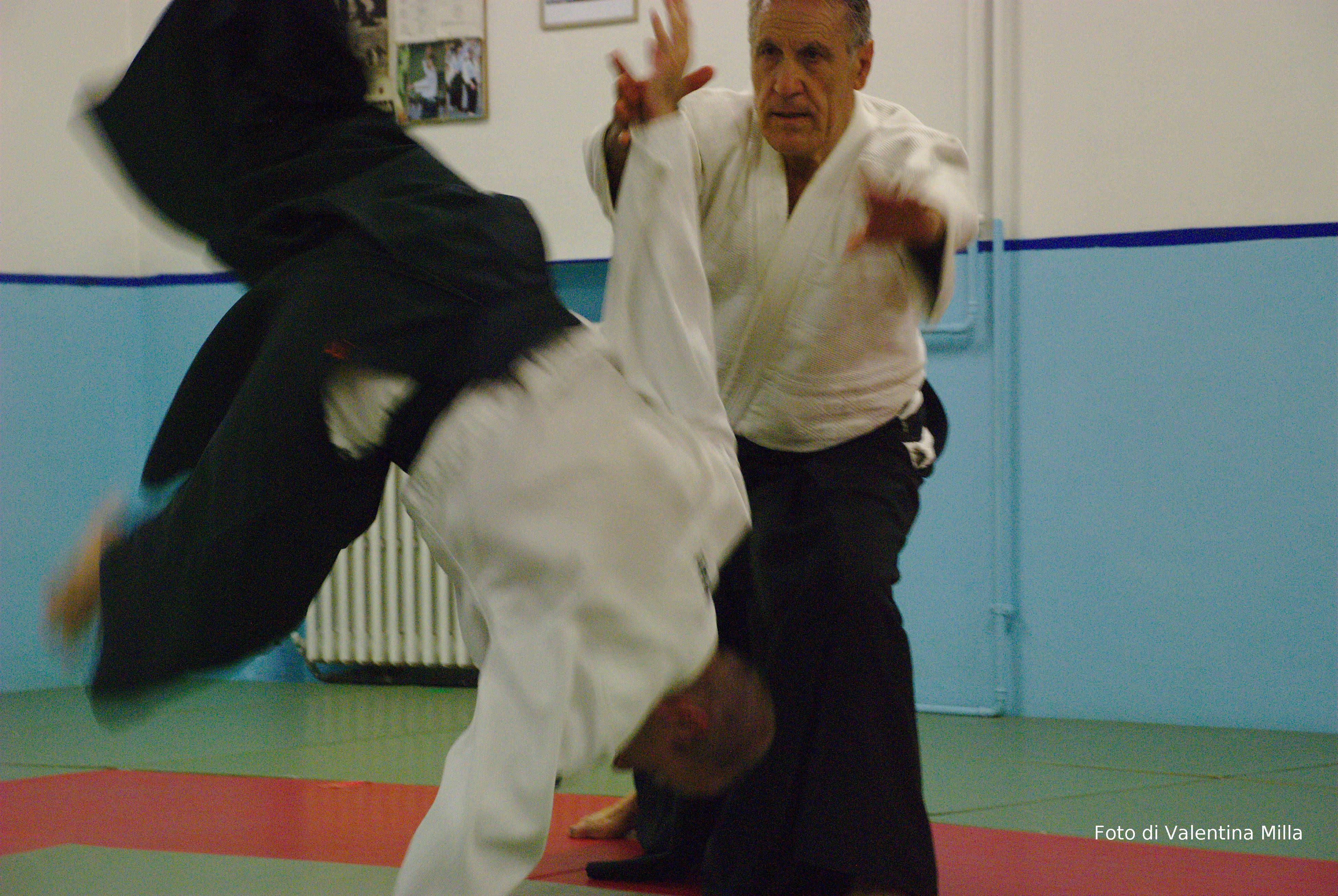 Main image of Aikikai di Ivrea