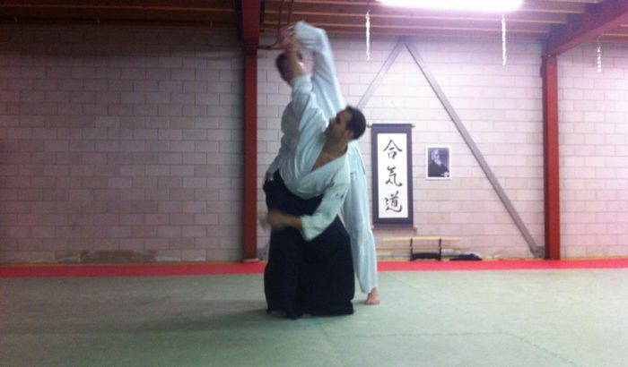 Main image of Aishinkai Aikido
