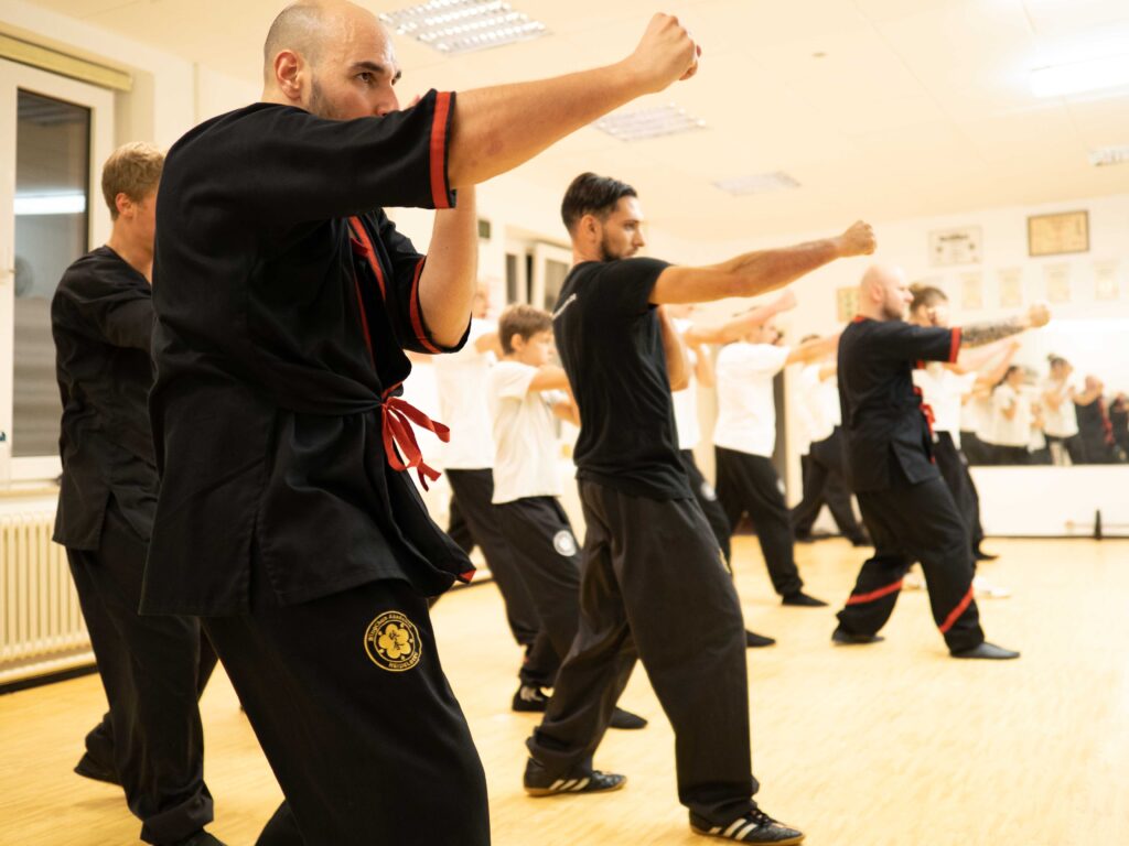 Main image of Akademie für WingChun Heidelberg
