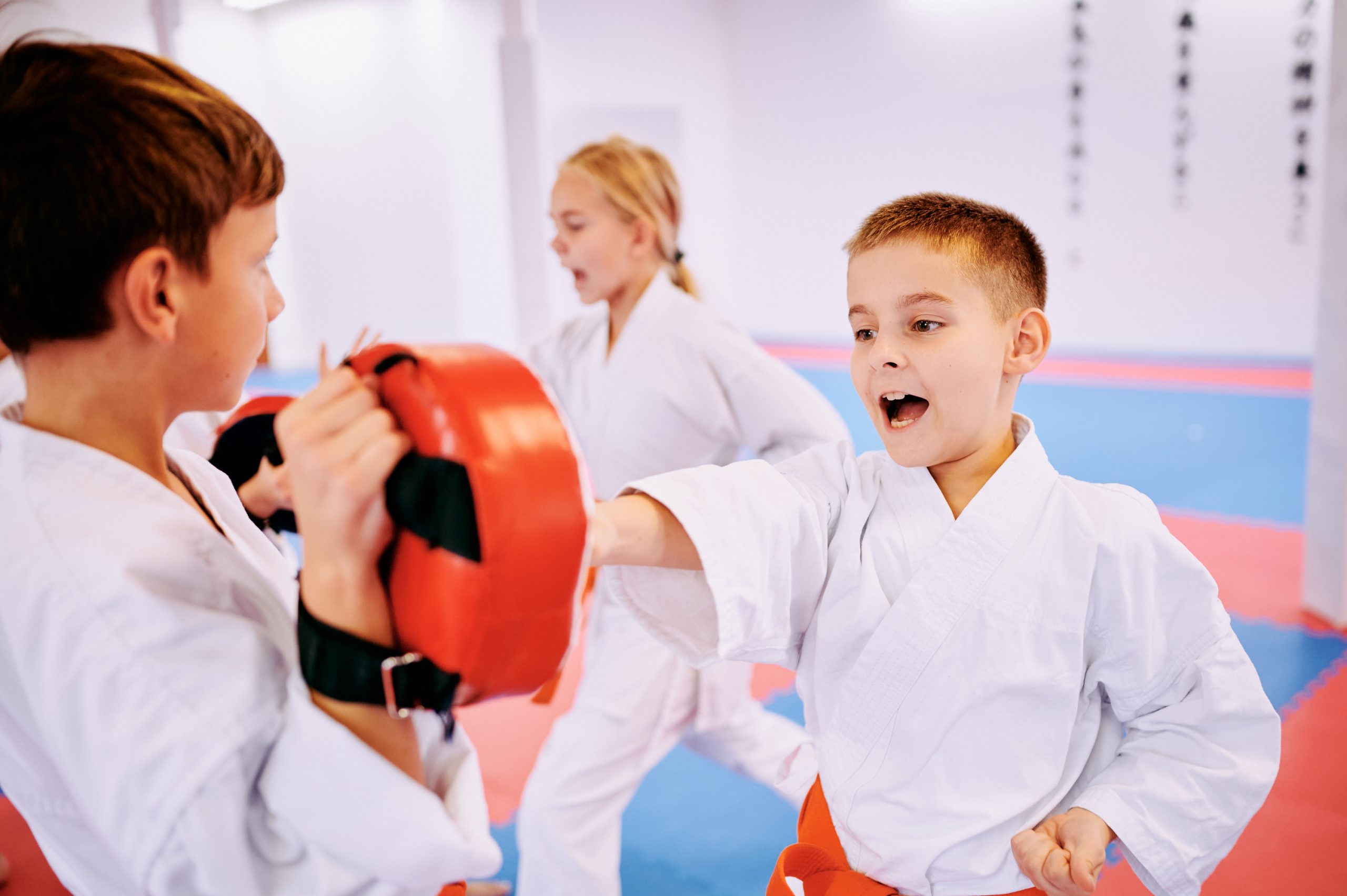 Main image of Akademie karate Brno