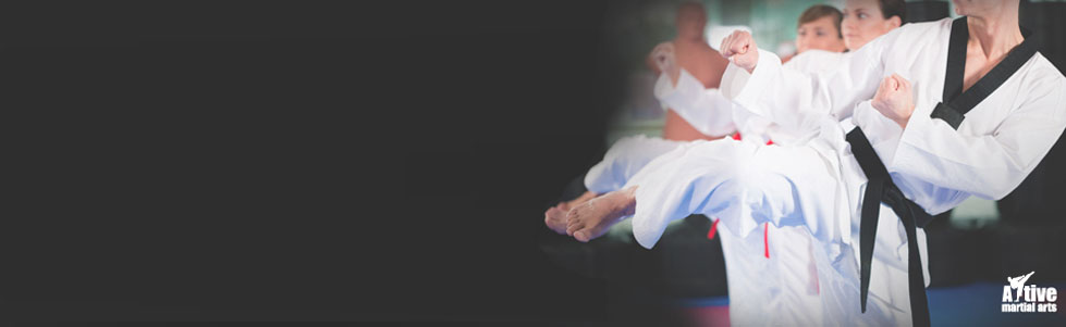 Main image of Aktive Martial Arts