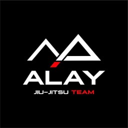 Main image of Alayjjteam