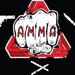 Main image of Albuquerque Modern Martial Arts