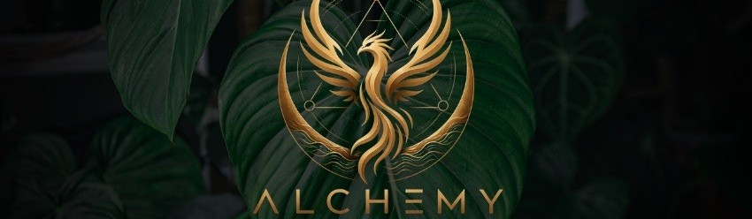 Main image of Alchemy Martial Arts Academy