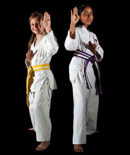 Main image of Aldershot Karate Club