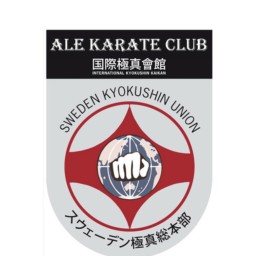 Main image of Ale Karate Club