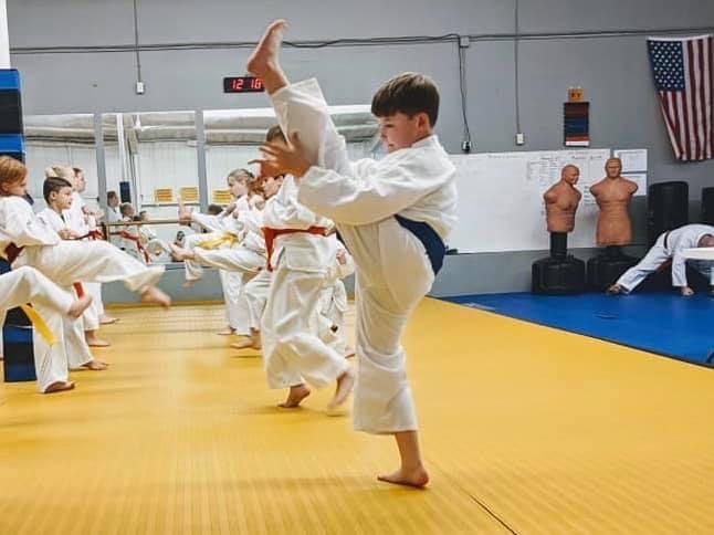 Main image of Aledo Martial Arts