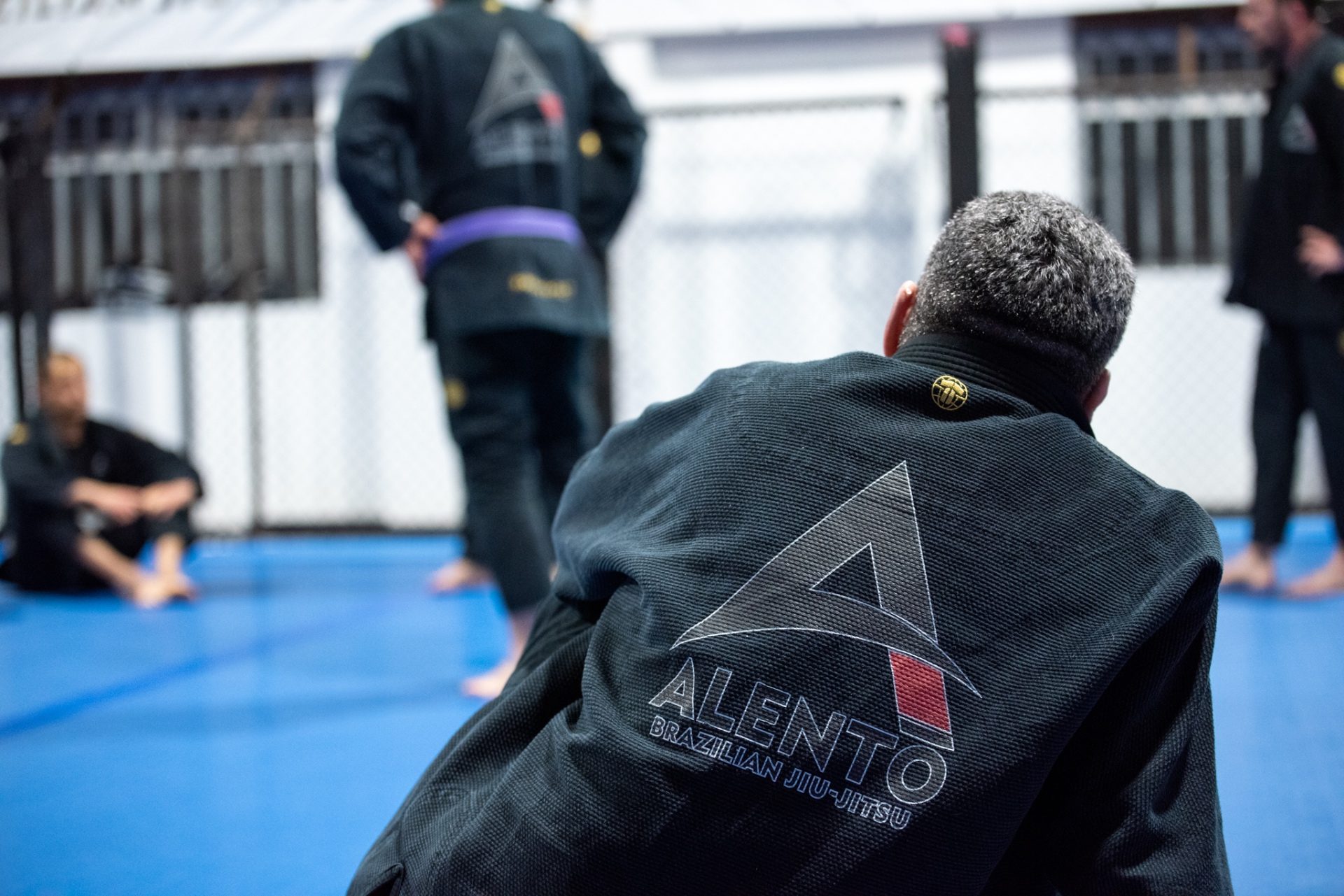 Main image of Alento BJJ Telford