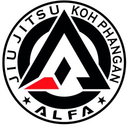 Main image of ALFA JIU JITSU Koh Phangan