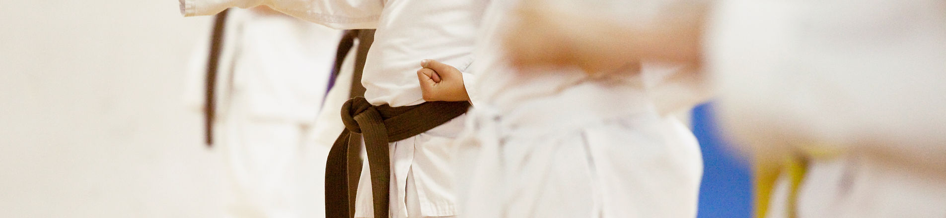 Main image of All American Black Belt Academy
