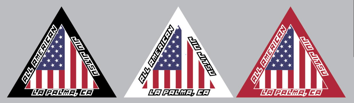 Main image of All American Jiu Jitsu Academy