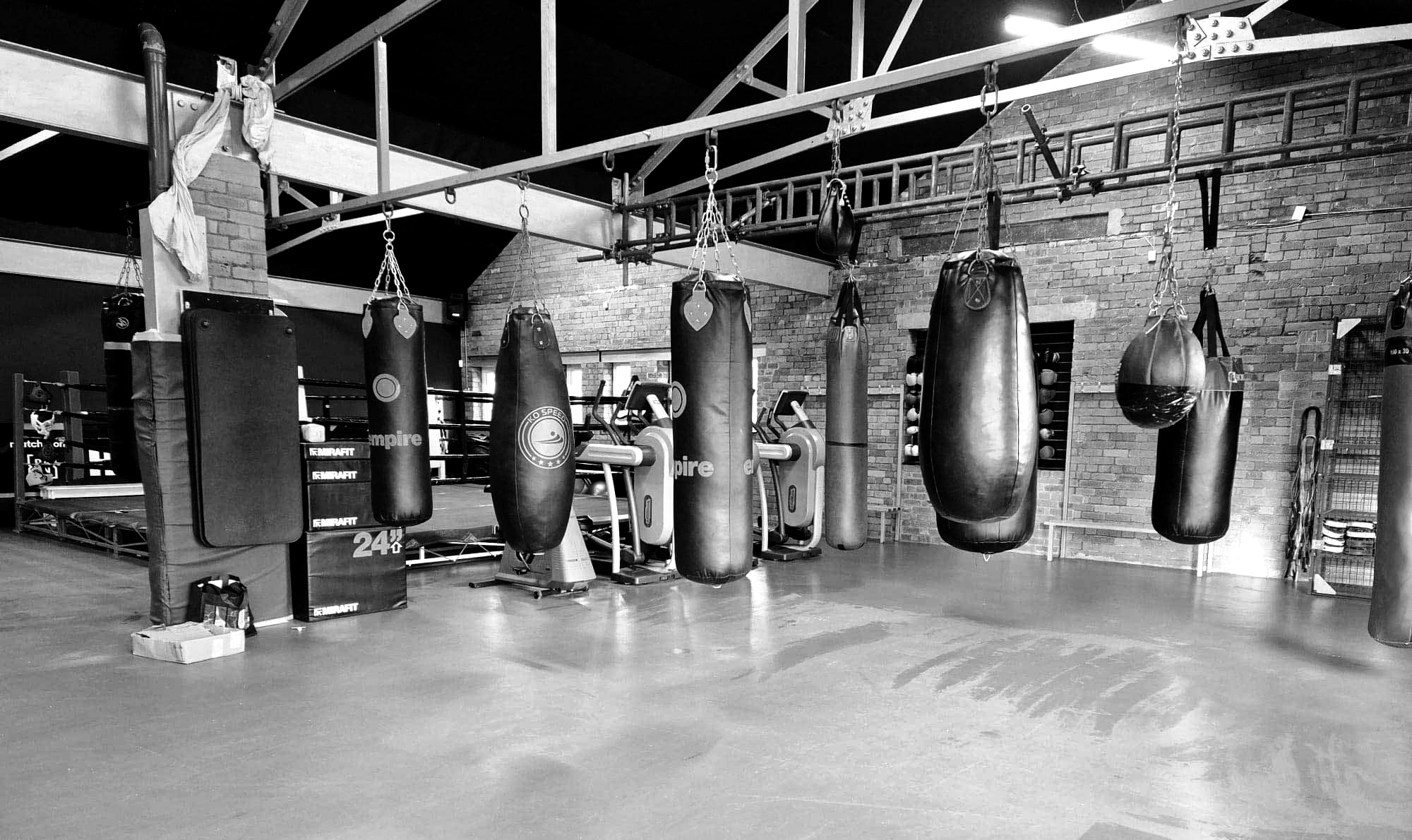 Alliance Boxing Academy academy photo