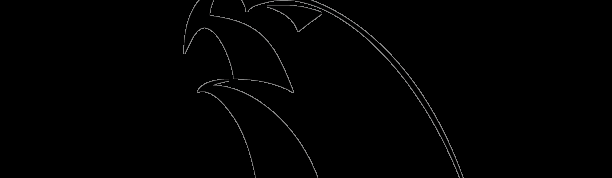 Main image of Alliance DFW