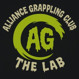 Main image of Alliance grappling club
