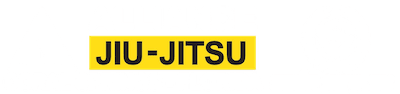 ALLIANCE JIU JITSU MARTIAL ARTS