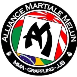 Main image of Alliance Martiale
