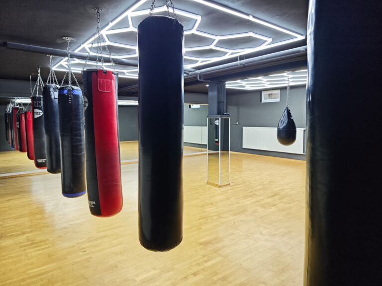 Main image of Alpha Box-club