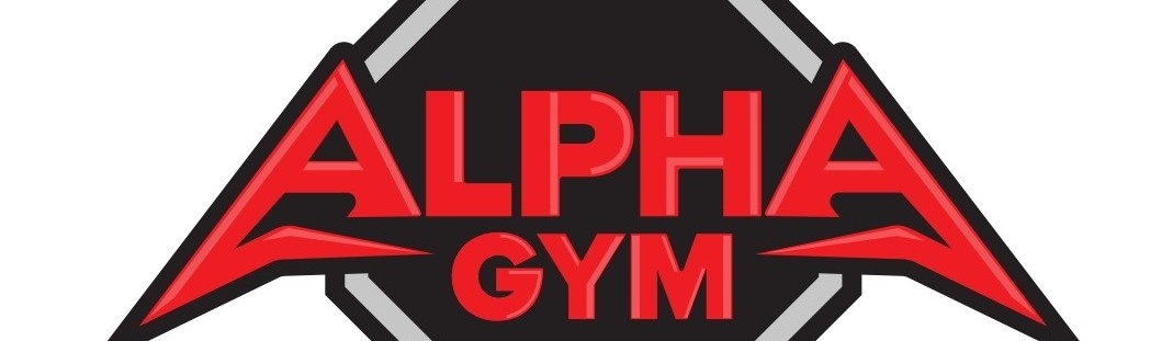 Main image of Alpha gym Karlovy Vary